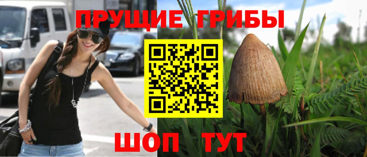Галлюциногенные грибы GOLDEN TEACHER  Галлюциногенные грибы ЛСД  Вход с VPN  Петропавловск-Камчатский 